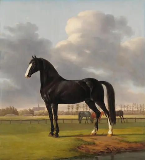 Adriaan van der Hoop&#8217;s Trotter &#8216;De Vlugge&#8217; (The Fast One) in a Meadow