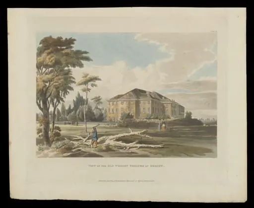 H Beard Print Collection