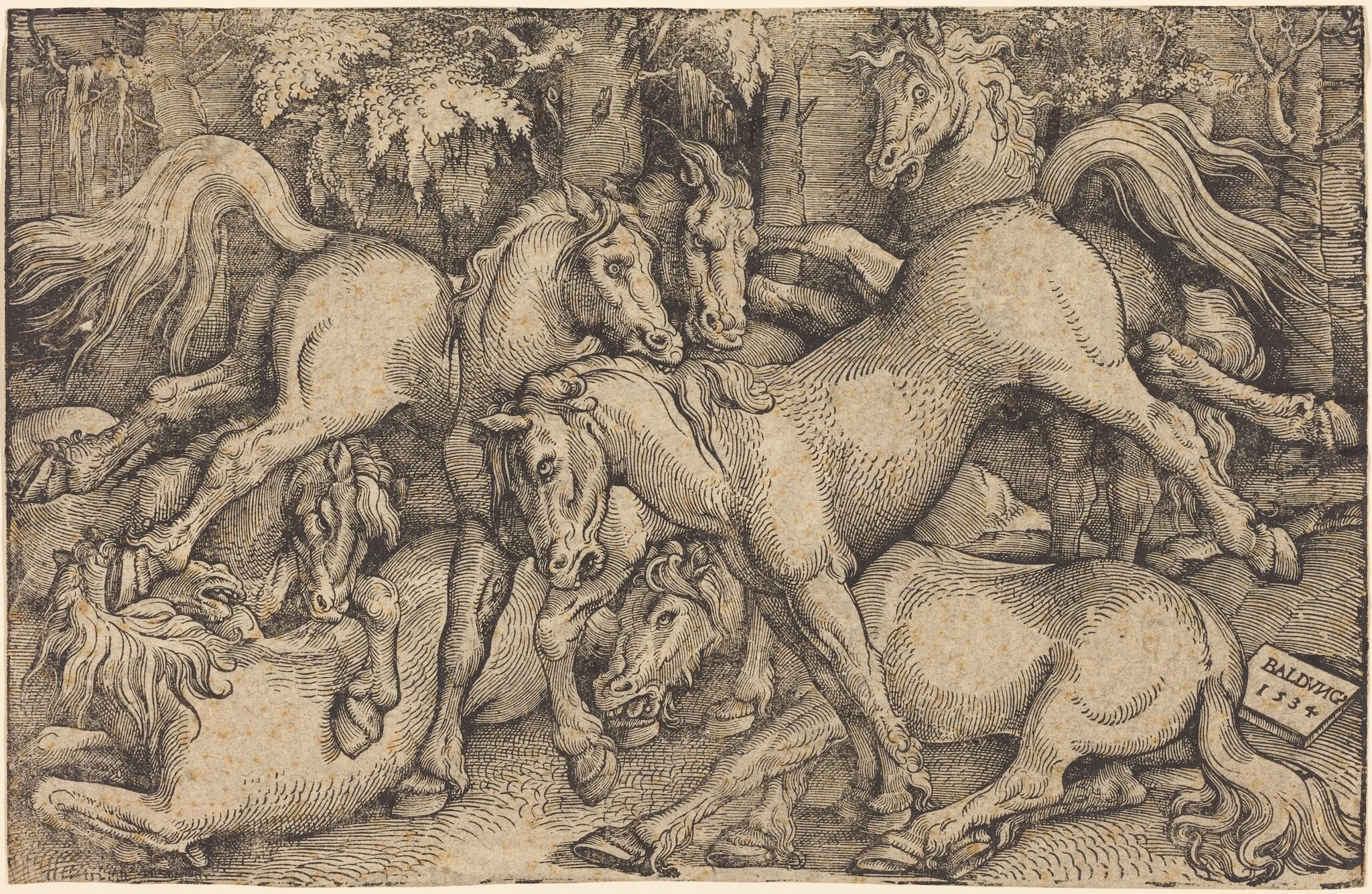 Group of Seven Horses in Woods, by Hans Baldung Grien, ink, 1534