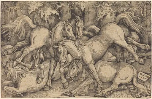 Group of Seven Horses in Woods