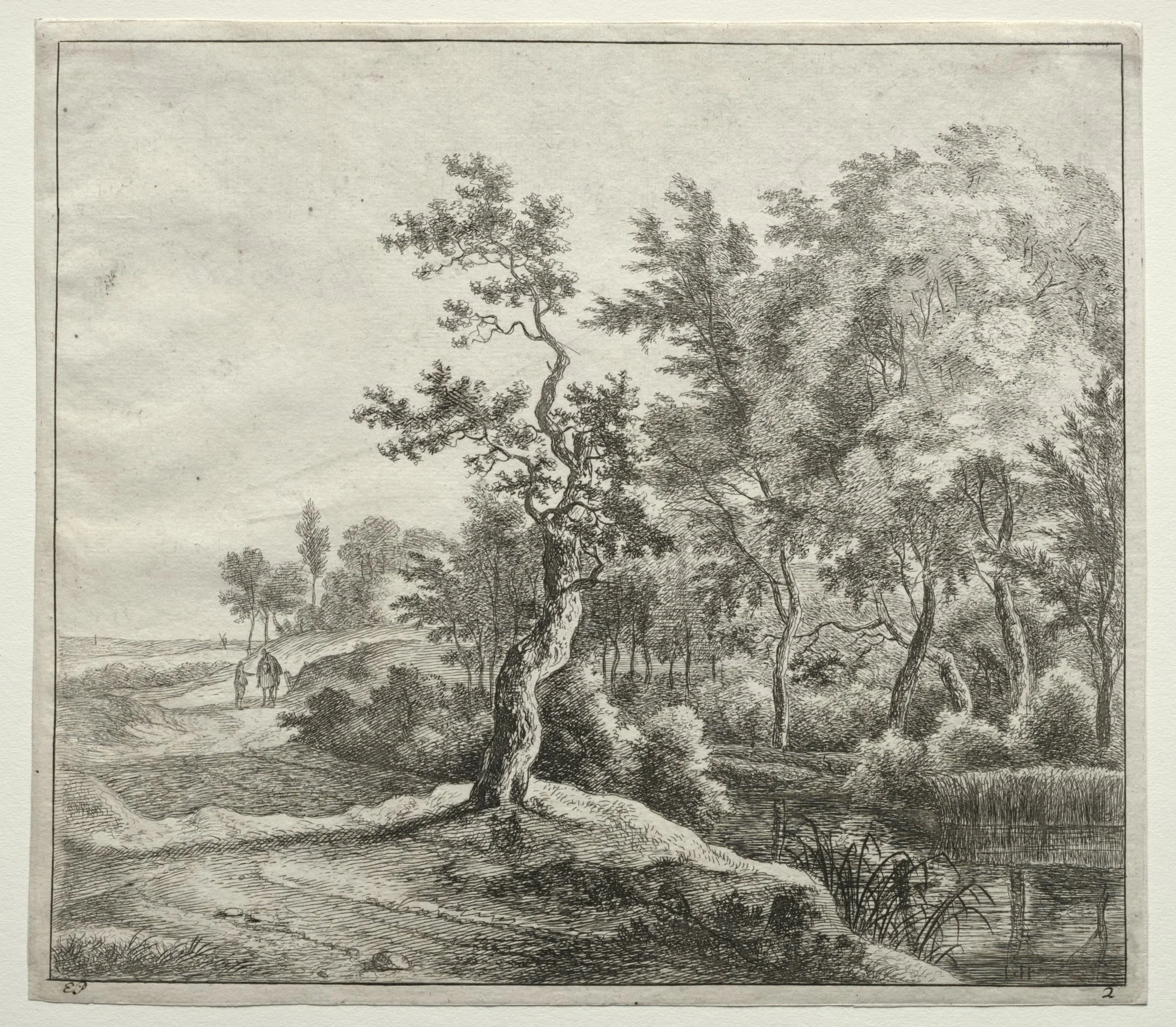 The Serpentine Road