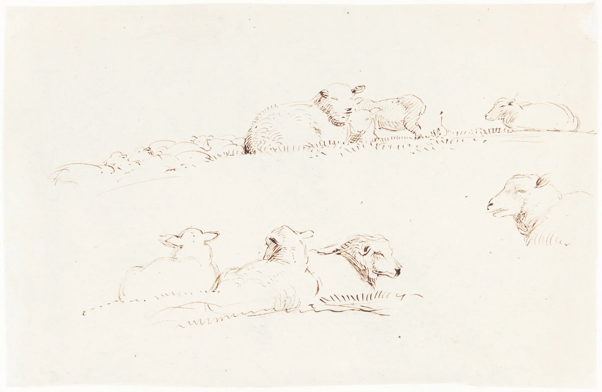 Studies of Sheep in Pasture, by George Richmond, ink, 1838