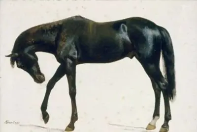 Black Horse