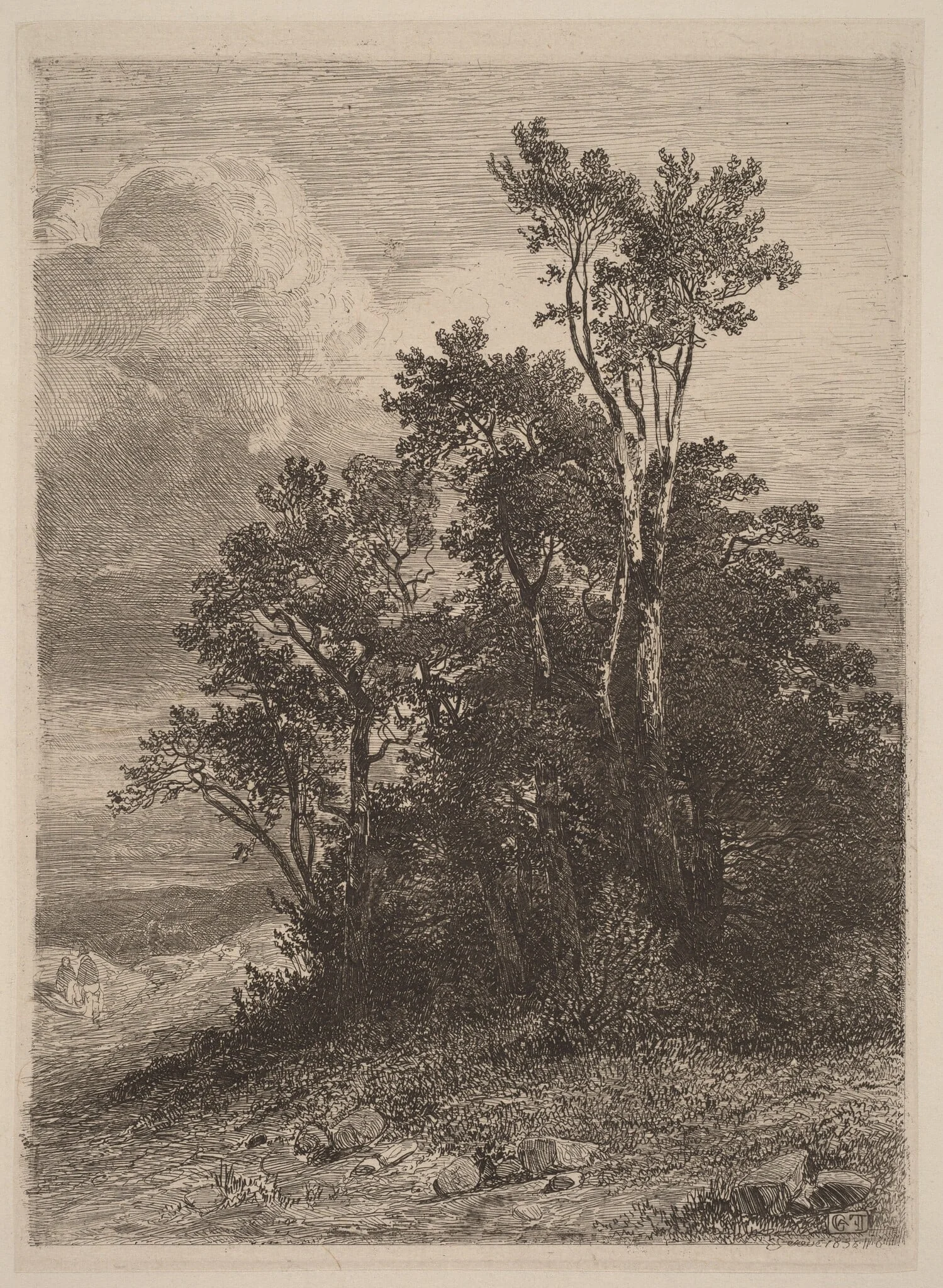 Grove of Trees, by Alexandre Calame, ink, 1838