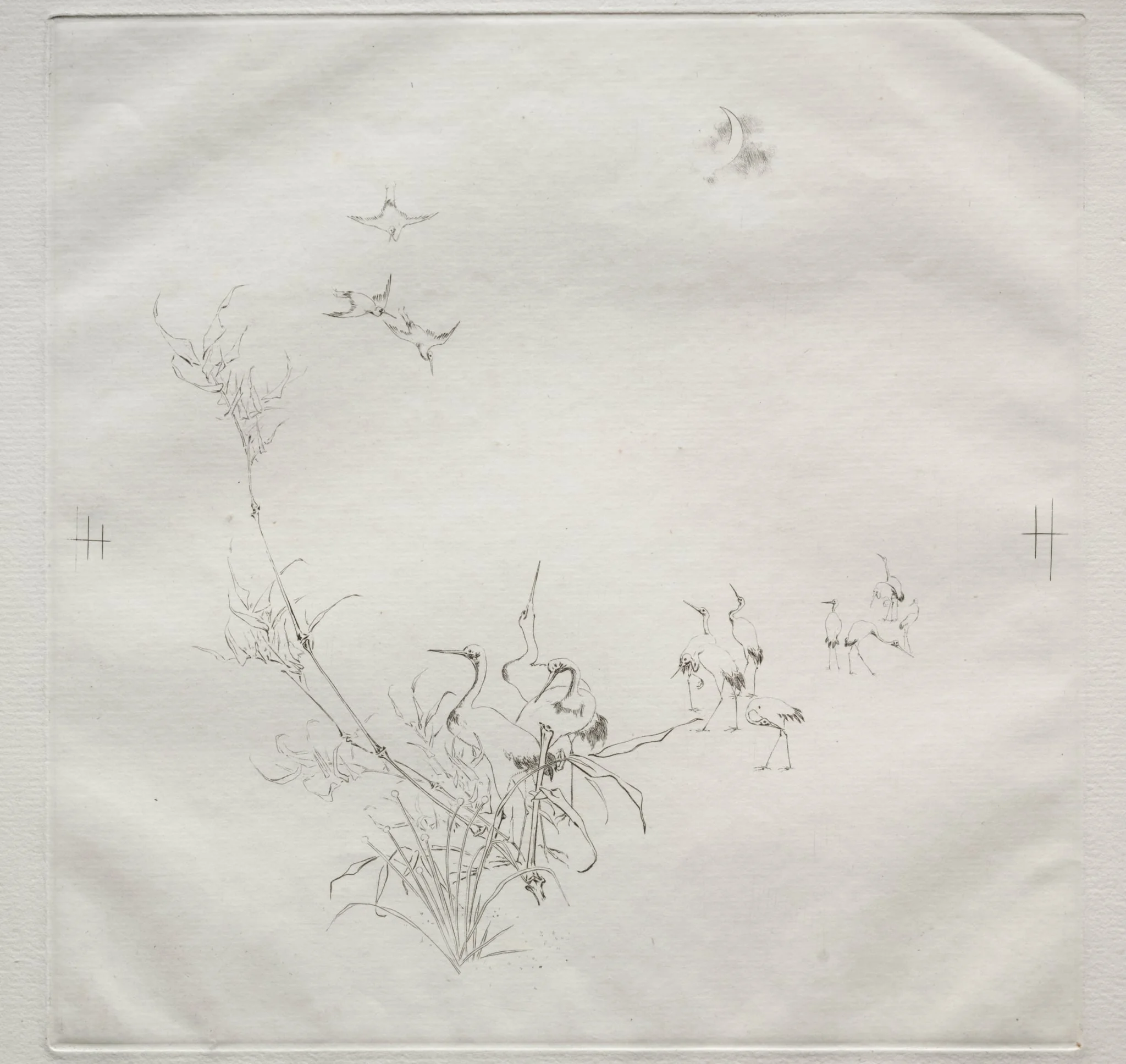 Parisian Service (Haviland service): The Moon (no. 5), by Félix Bracquemond, 1875