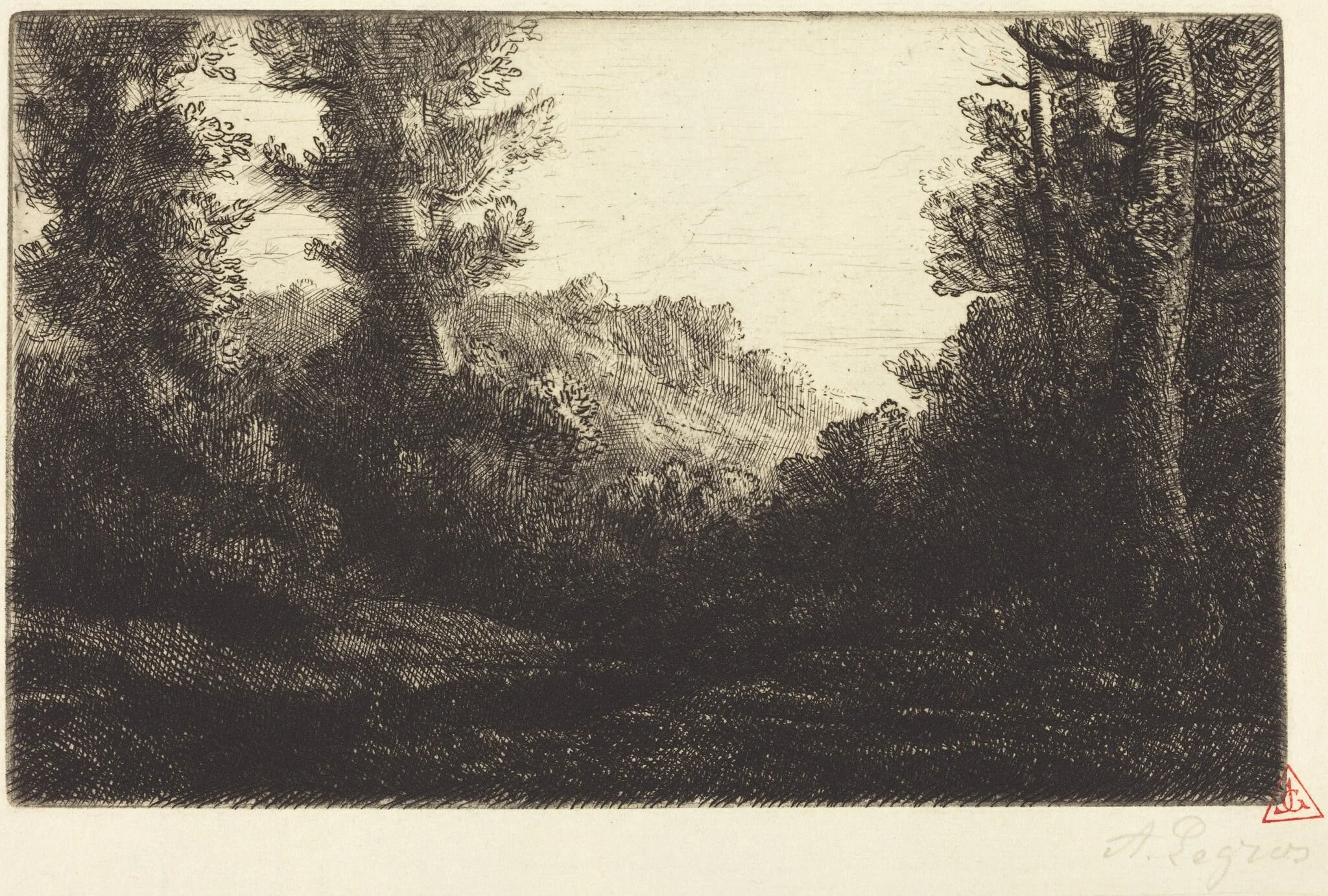 Edge of a Wood (Lisiere de bois), by Alphonse Legros, ink, 1874