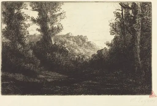 Edge of a Wood (Lisiere de bois)