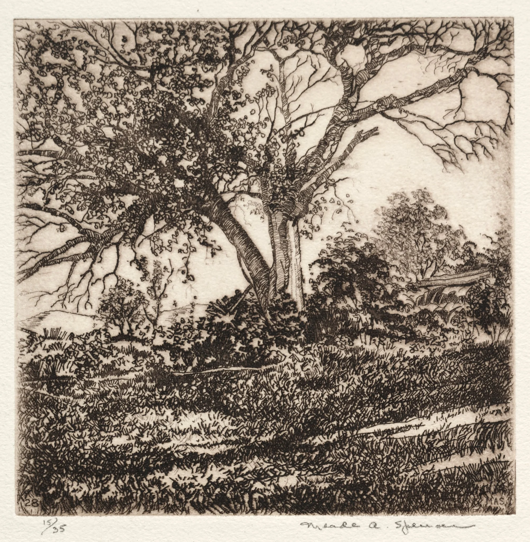 Apple Tree, by Meade Ashley Spencer, 1928