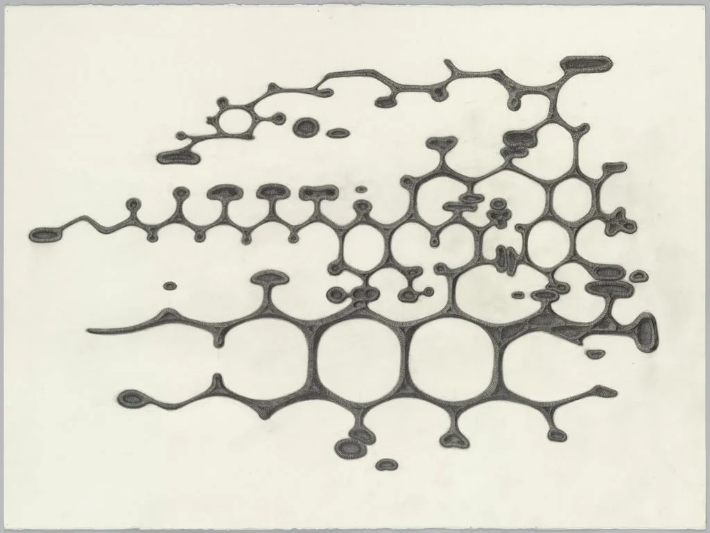 Untitled, by Alexander Ross, graphite, 2003