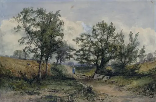 Landscape with sheep and cornfield