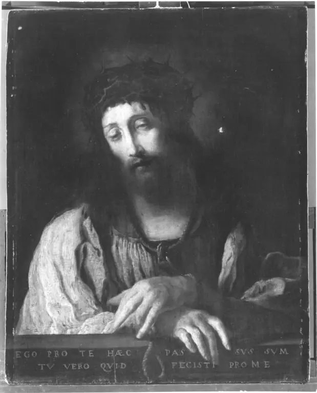 Q29959371