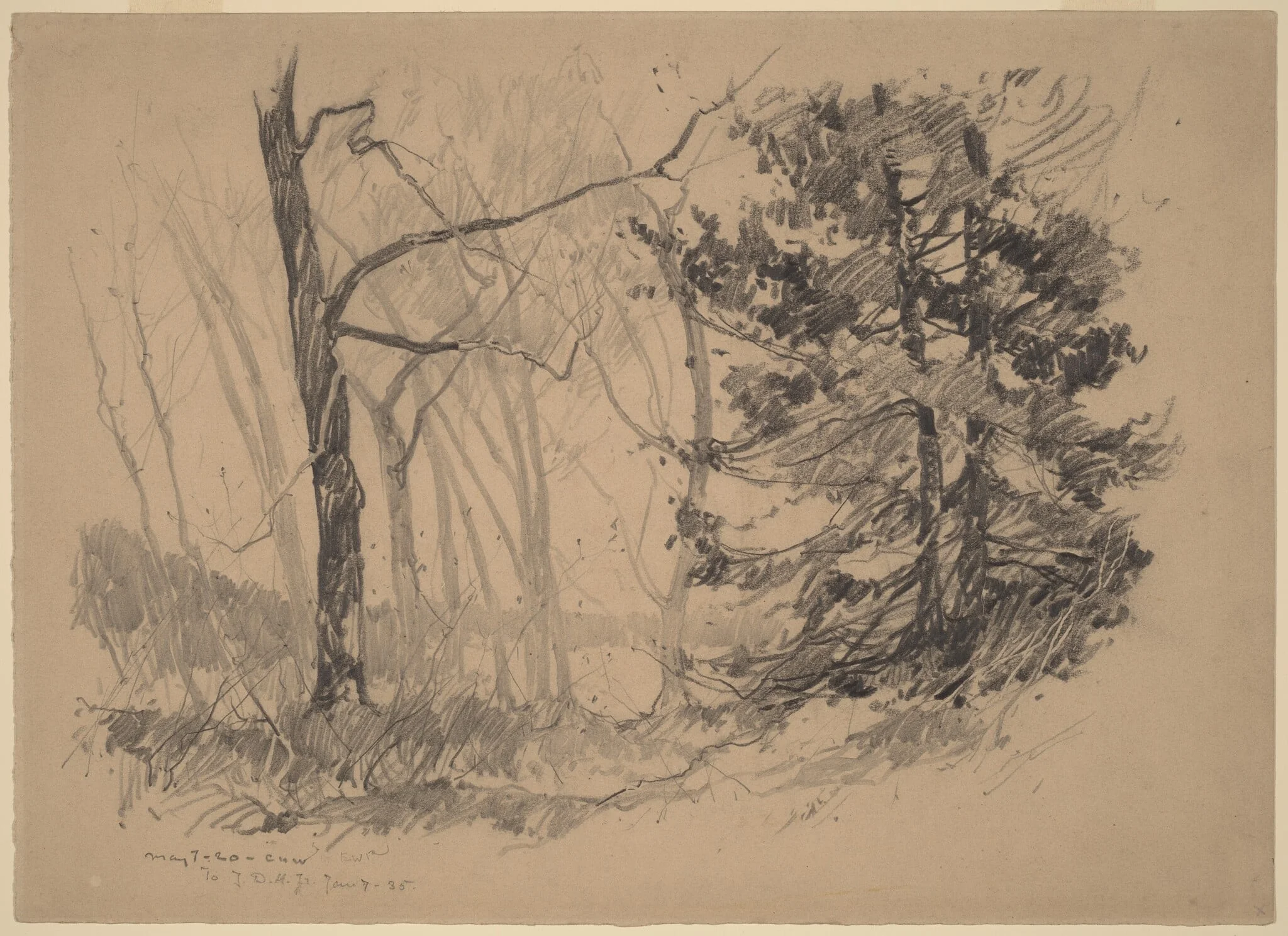 Wood Interior