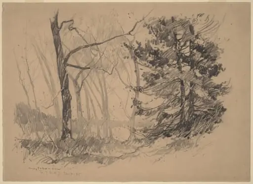 Wood Interior