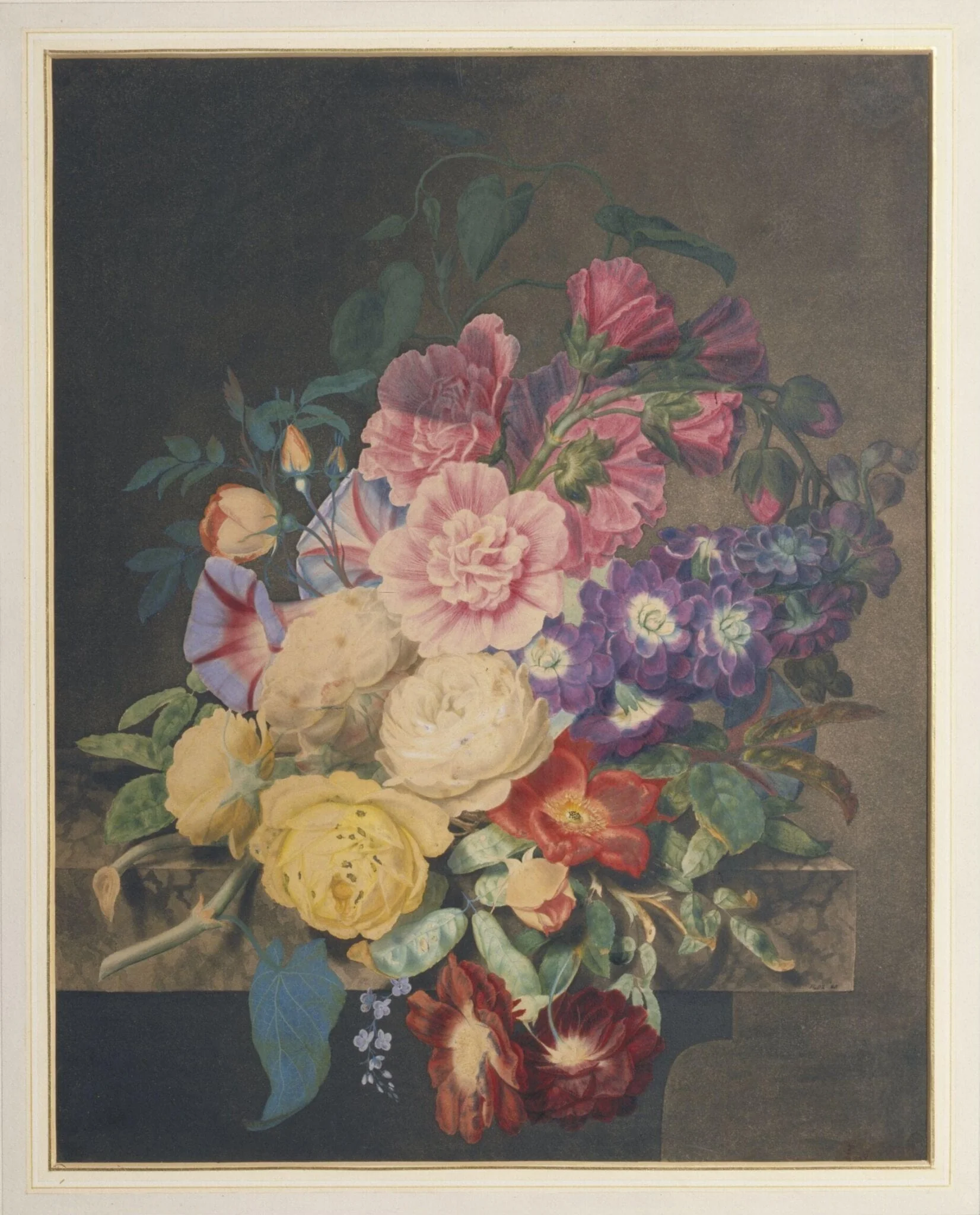 Hollyhocks, Roses, Etc