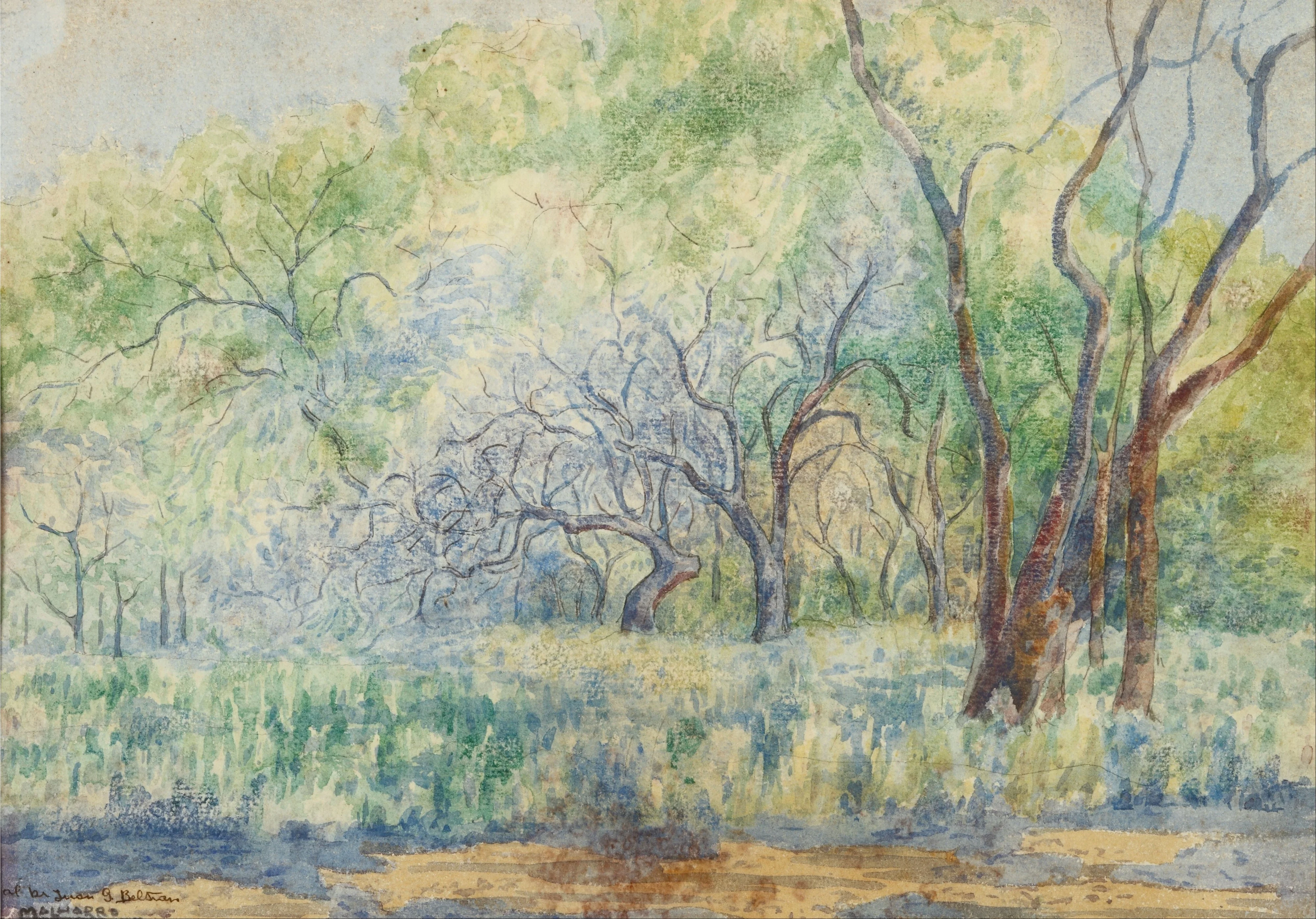 Paisaje, by Martín Malharro, unspecified, 1907