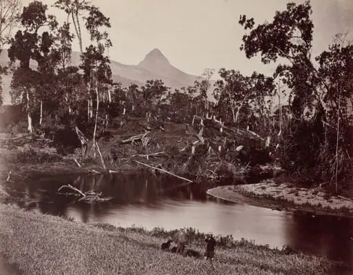 Ceylon Views to Adam's Tooth