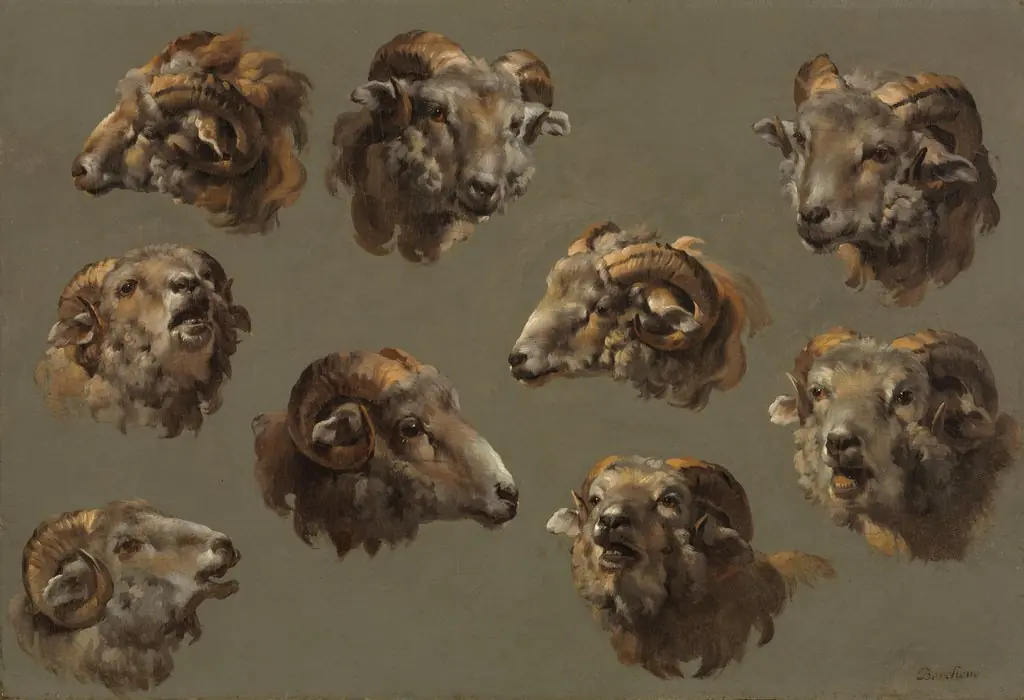 Studies of Ram Heads