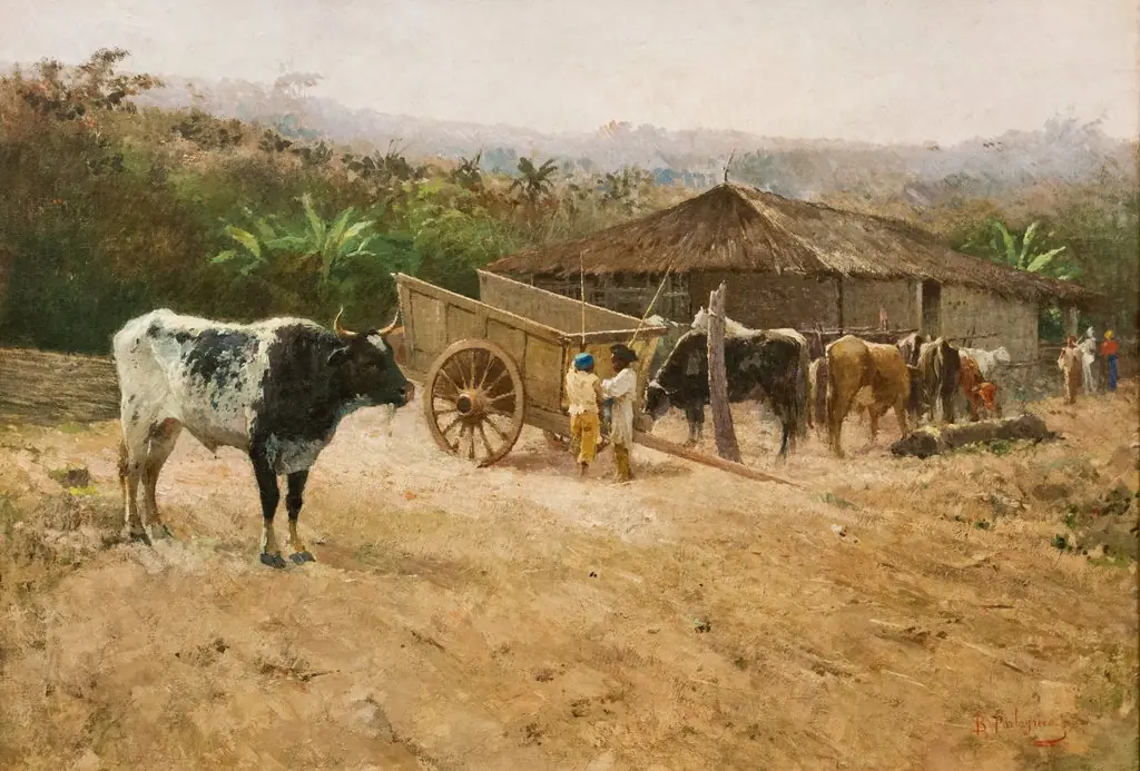 In the field