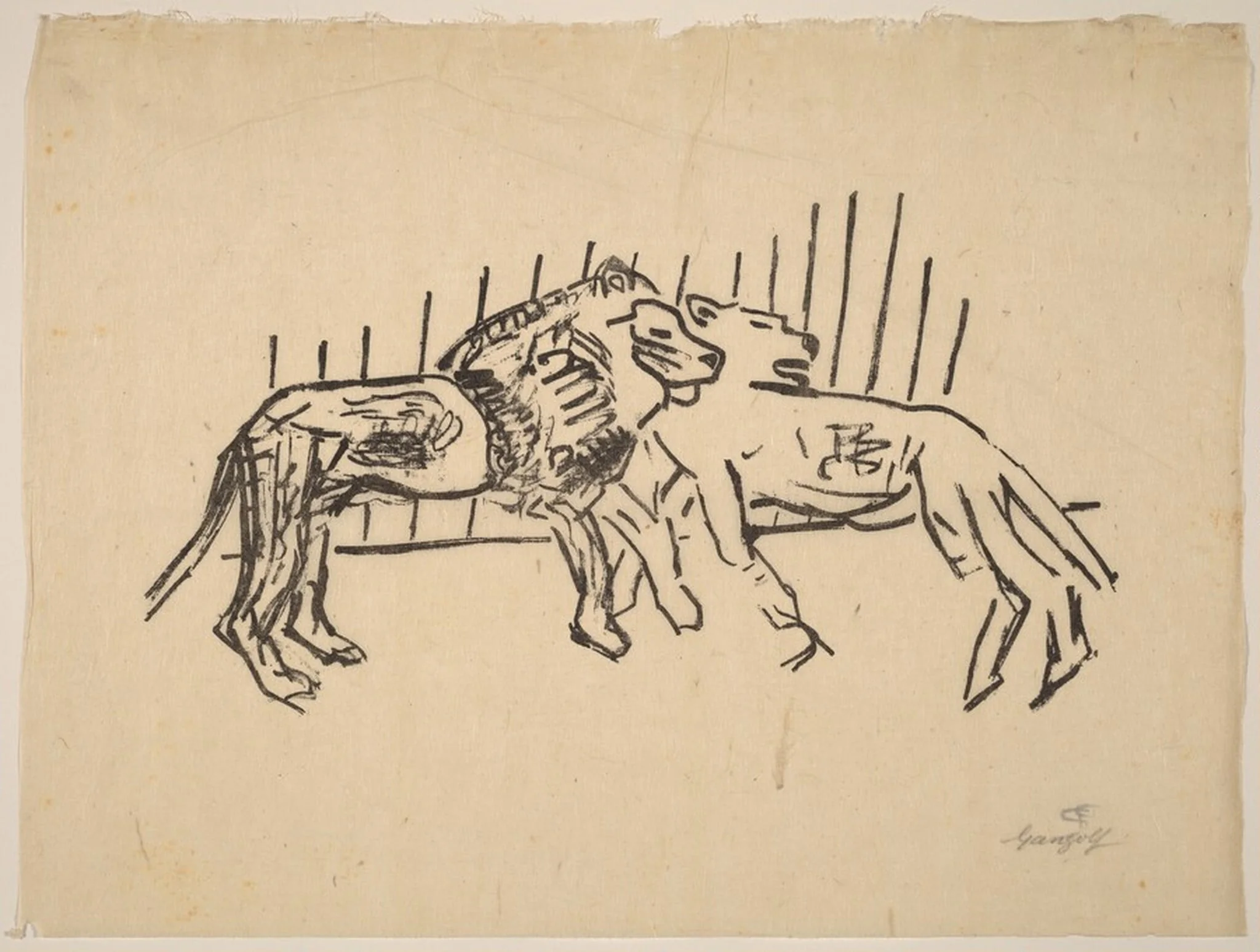 Two Lions (Zwei Löwen), by Paul Gangolf, ink, 1900