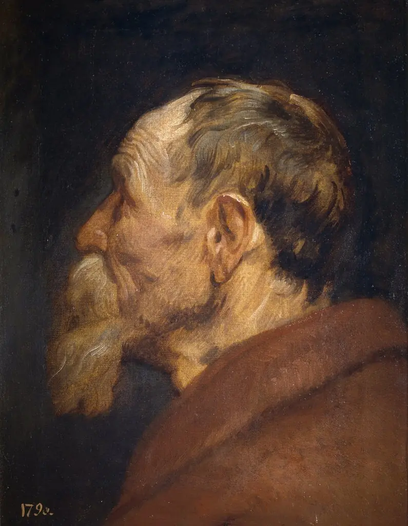 The Head of an Old Man