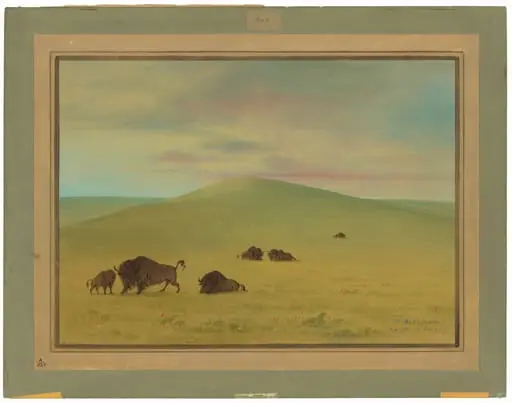 American Pasturage - Prairies of the Platte