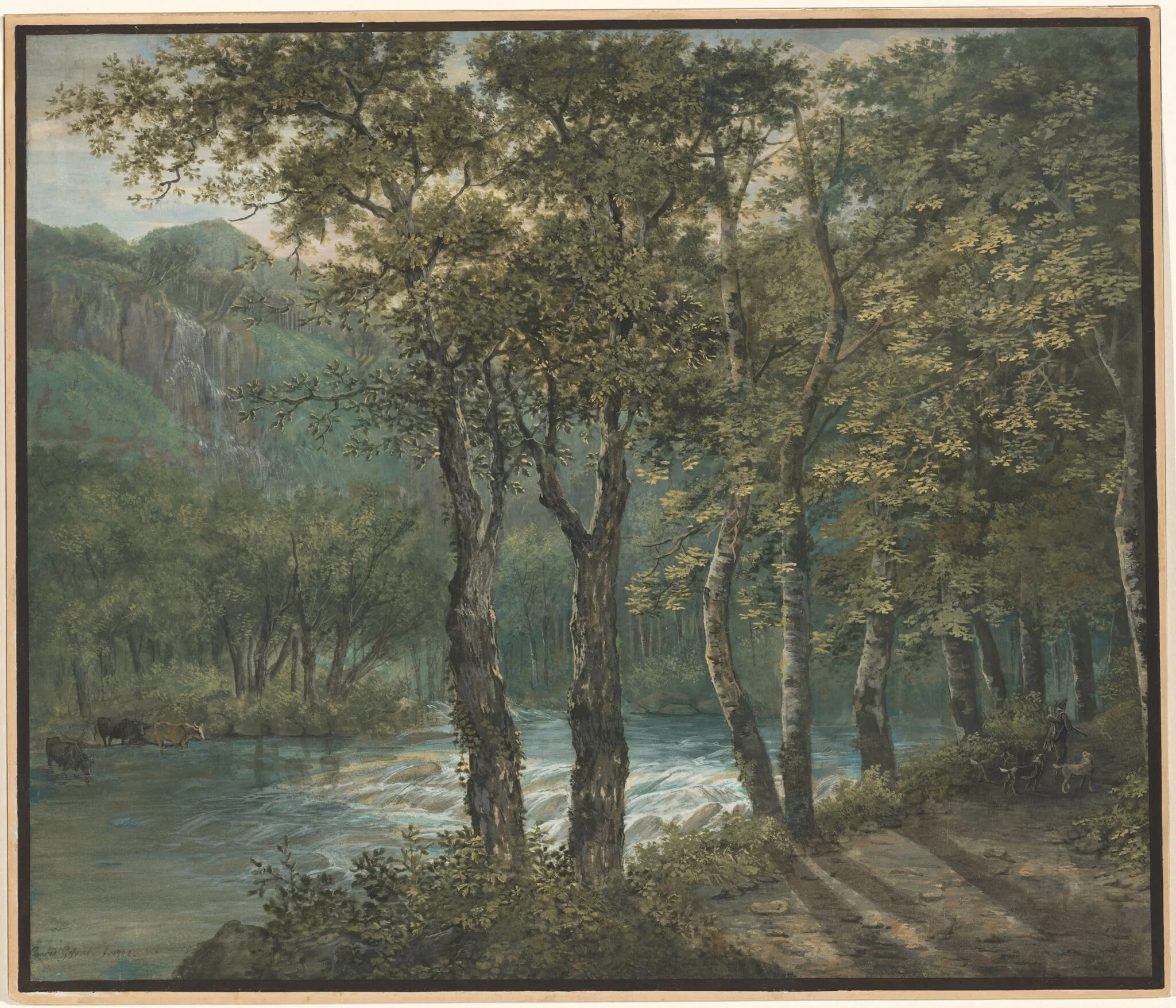 Sunlight Filtering through Trees along the River Sihl