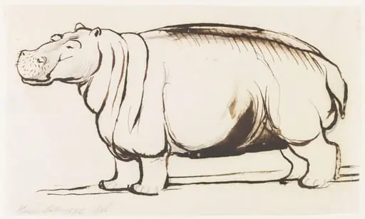 Study of a Hippopotamus, full length