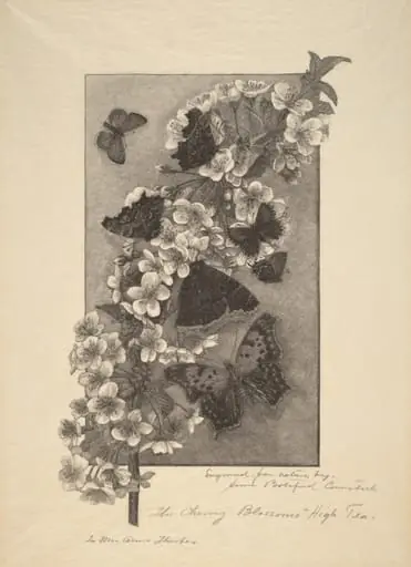 The Cherry Blossoms - High Tea