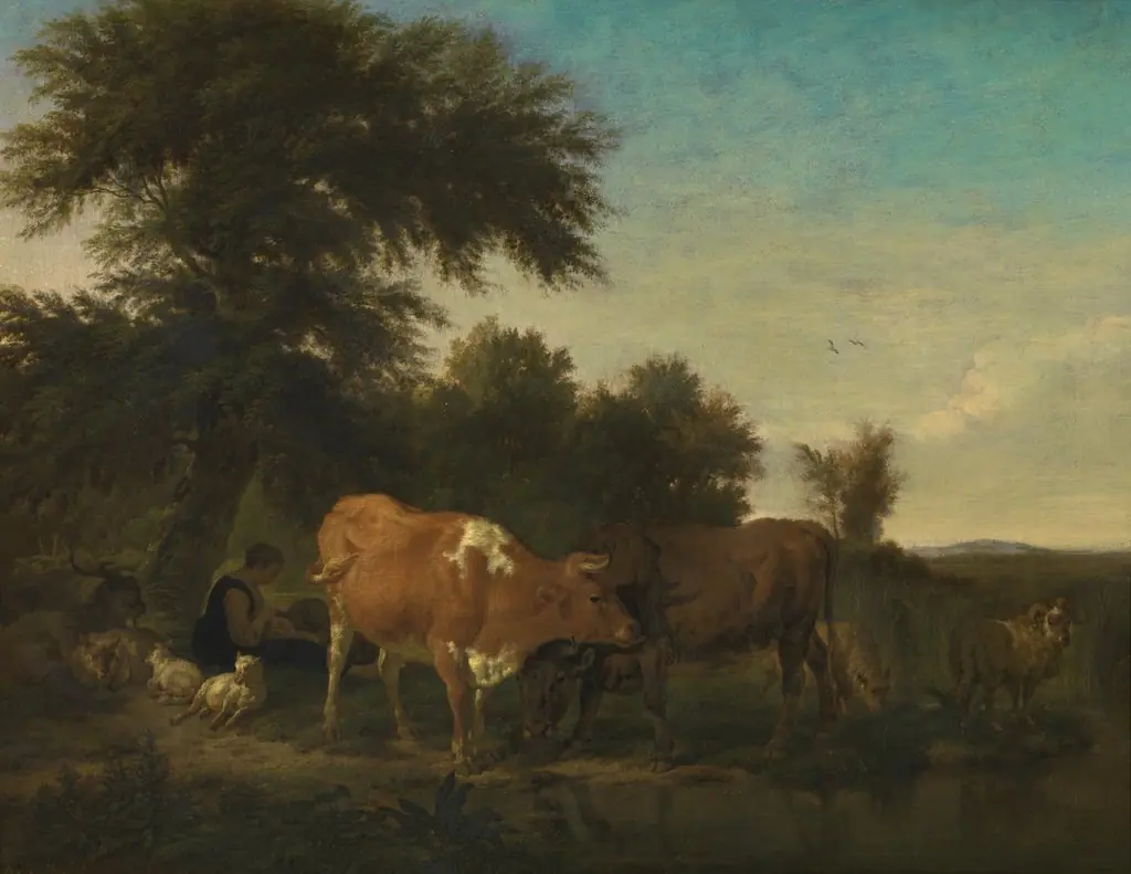 Landscape