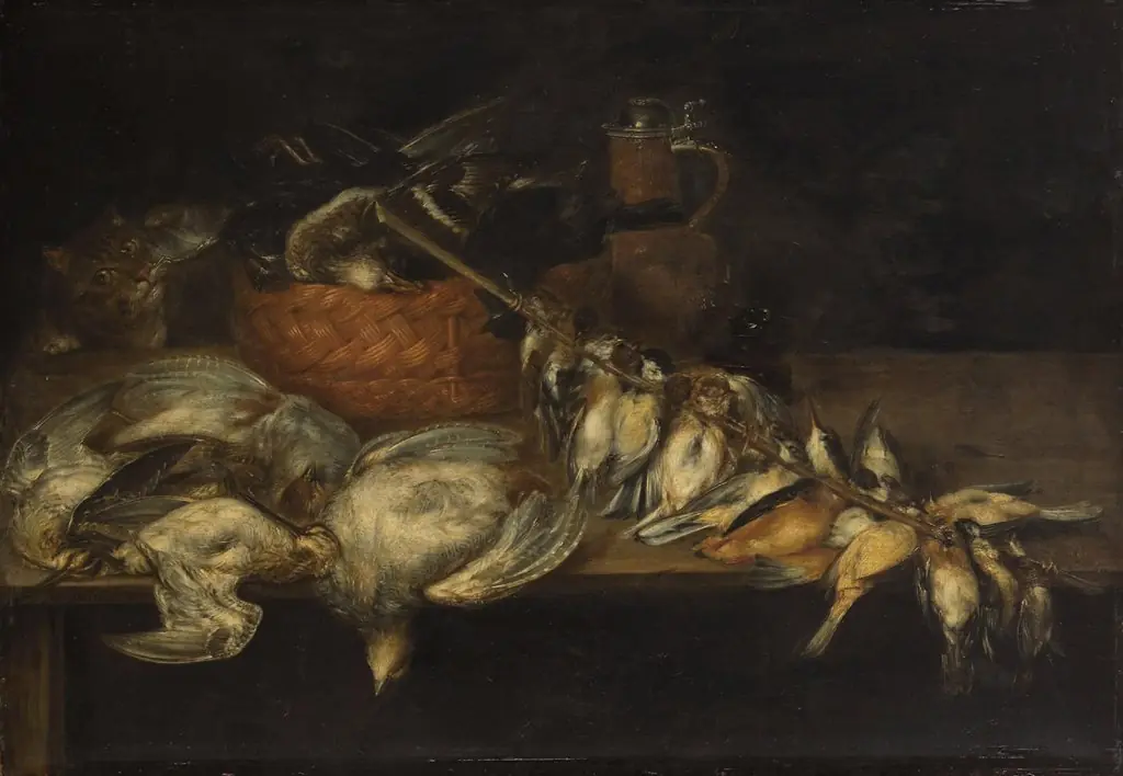 Dead poultry with cat