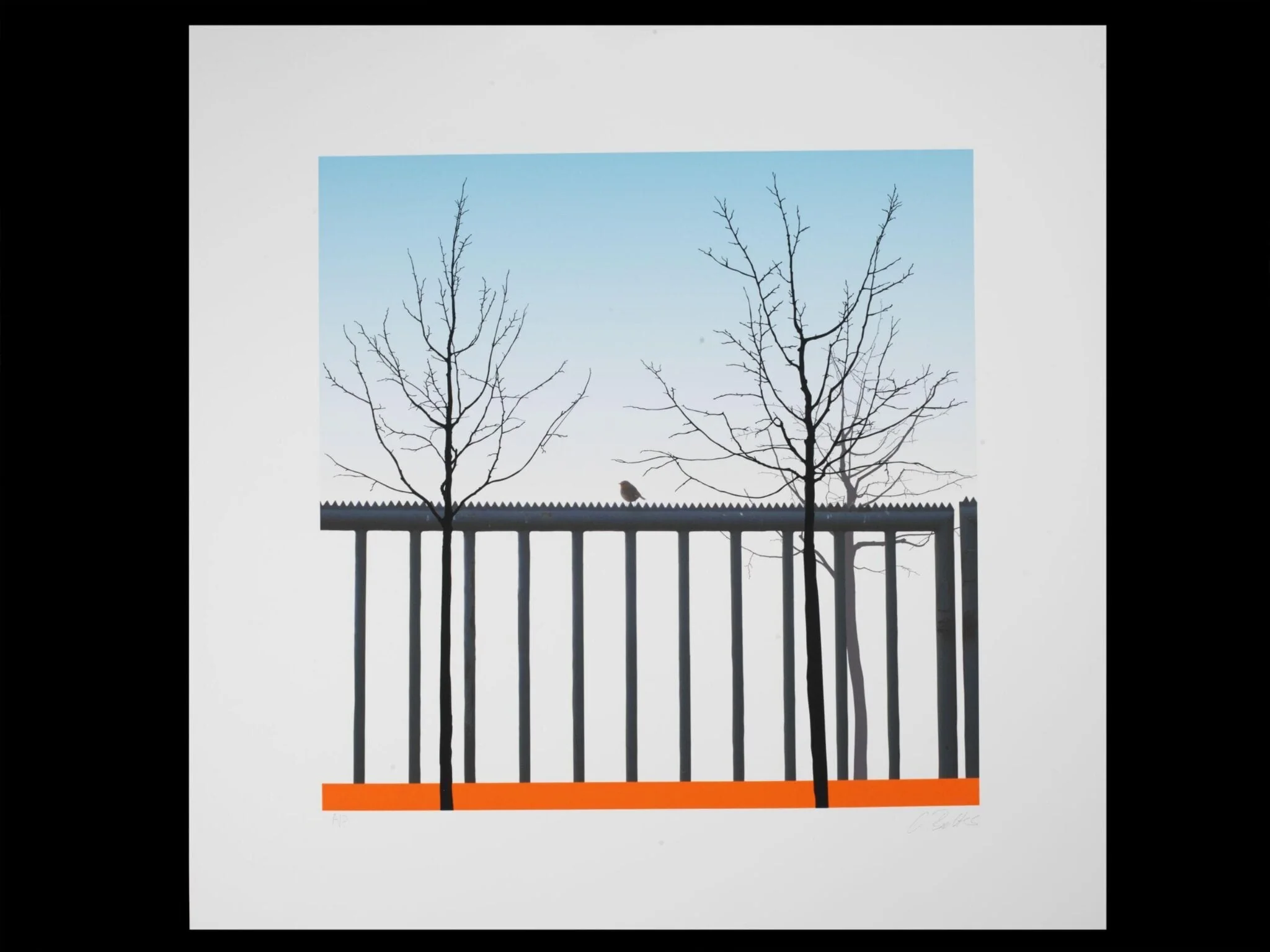 Untitled (Robin), by Cornelia Baltes, 2011