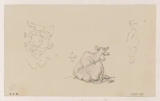 A cow seen from the rear