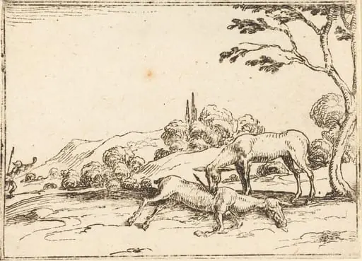 Doe Mourning her Foal