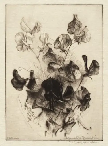 Sweet Peas