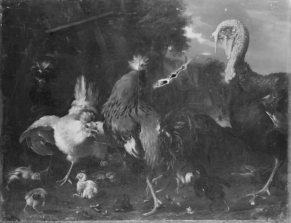 Q29937999