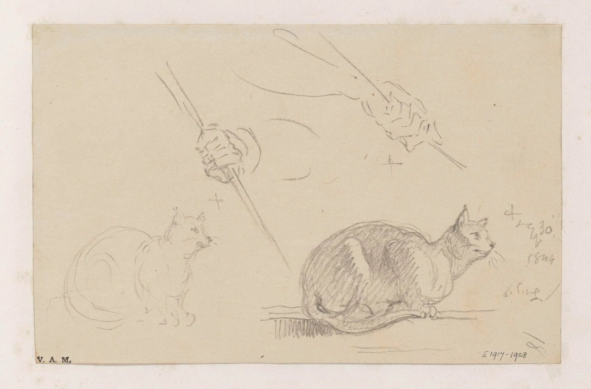 Studies of cats, and of a hand holding a pole, by George Chinnery, 20