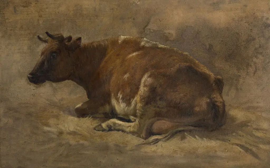 Cow