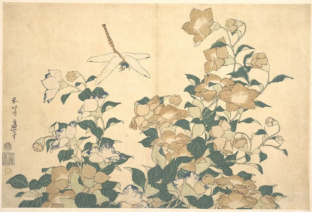 葛飾北斎画　桔梗に蜻蛉|Dragonfly and Bellflower, by Katsushika Hokusai, ink, 1824