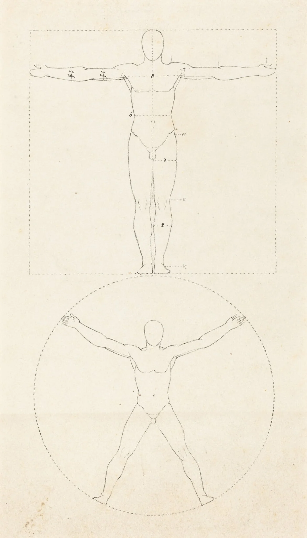 Circle and Square of the Human Figure, by George Scharf, ink, 1829