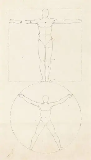 Circle and Square of the Human Figure