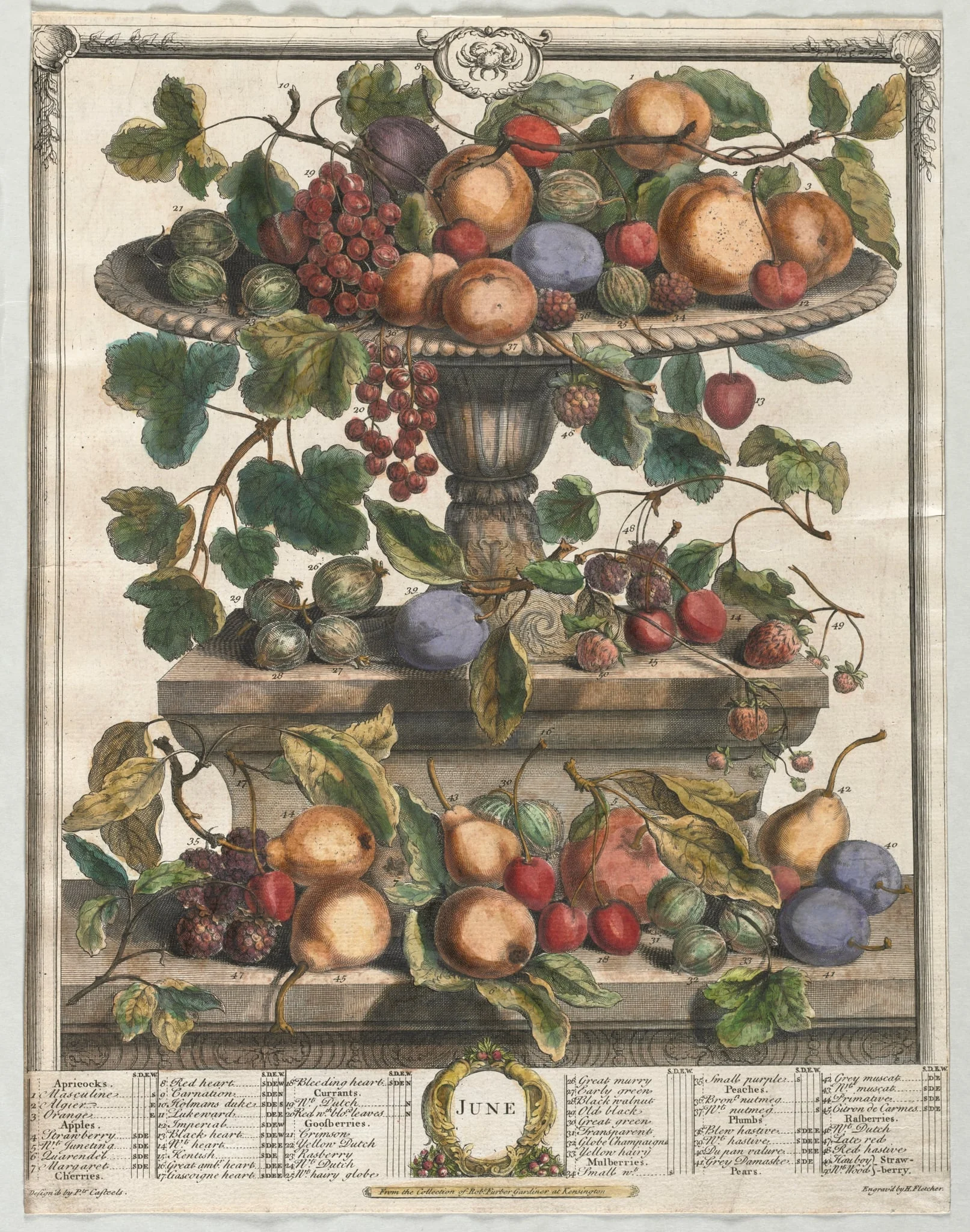 Twelve Months of Fruit:  June, by Henry Fletcher, 1732