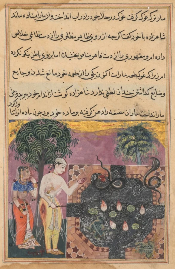 The prince, having deprived the snake of its natural food, a frog, feeds it with a piece of his own flesh, from a Tuti-nama (Tales of a Parrot): Eighteenth Night, by Unknown, unspecified, 1560
