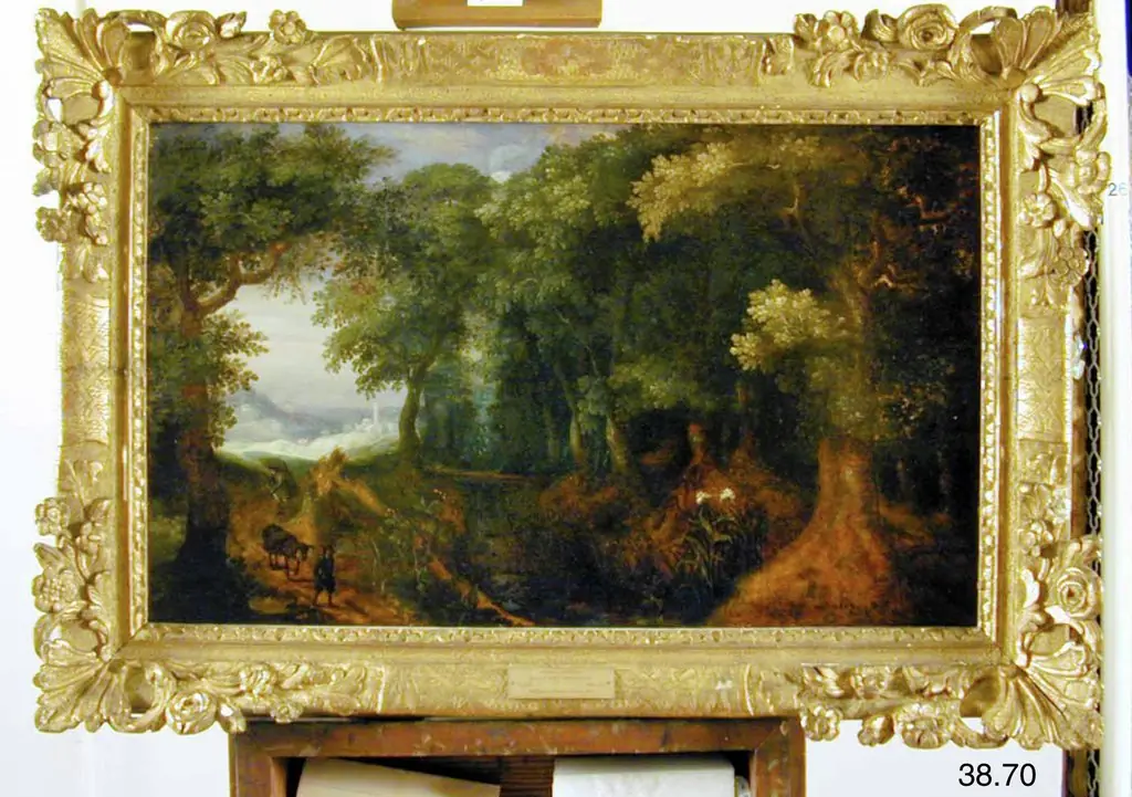Forest Landscape