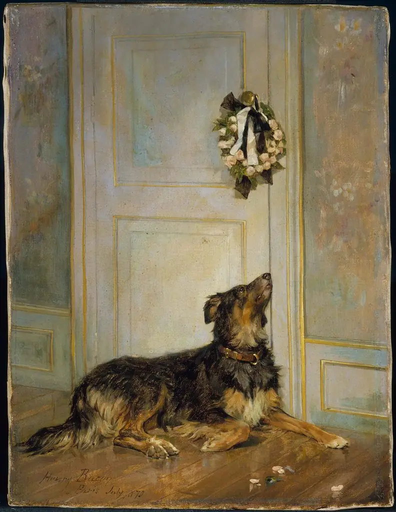 Dog in Mourning