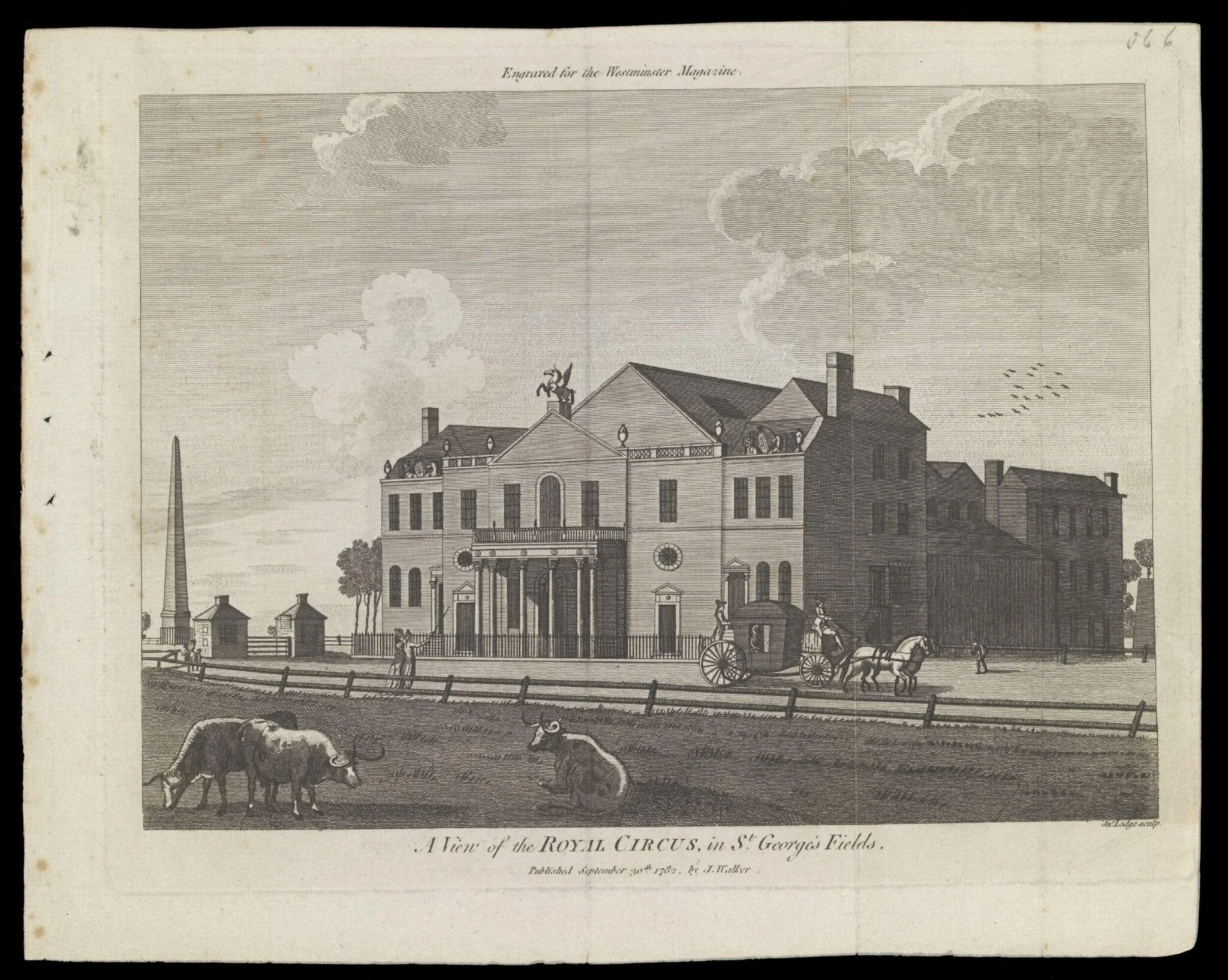 H Beard Print Collection