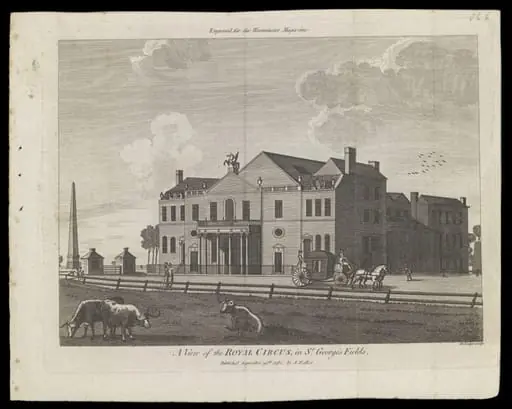 H Beard Print Collection