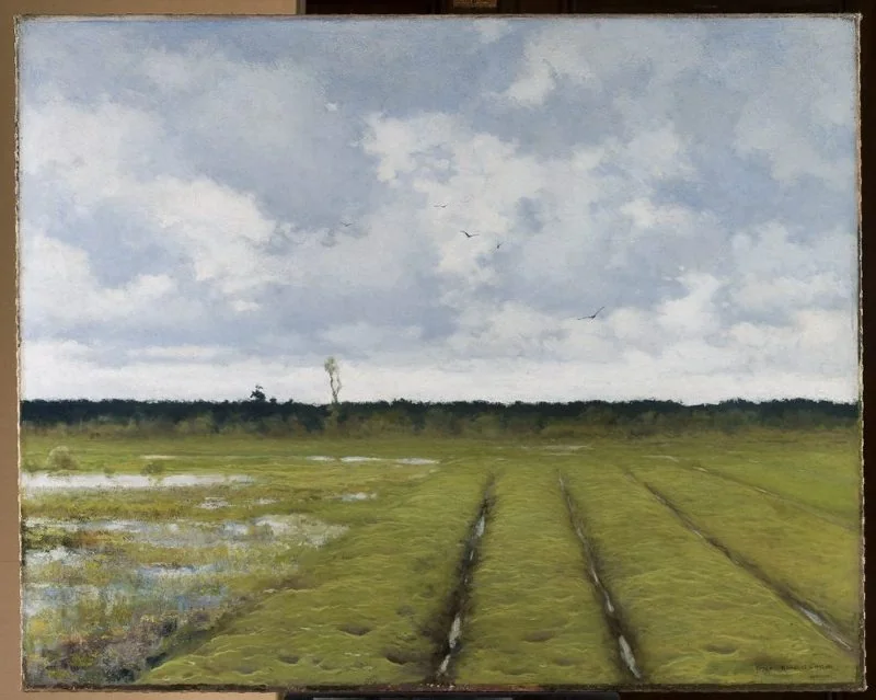 Landscape