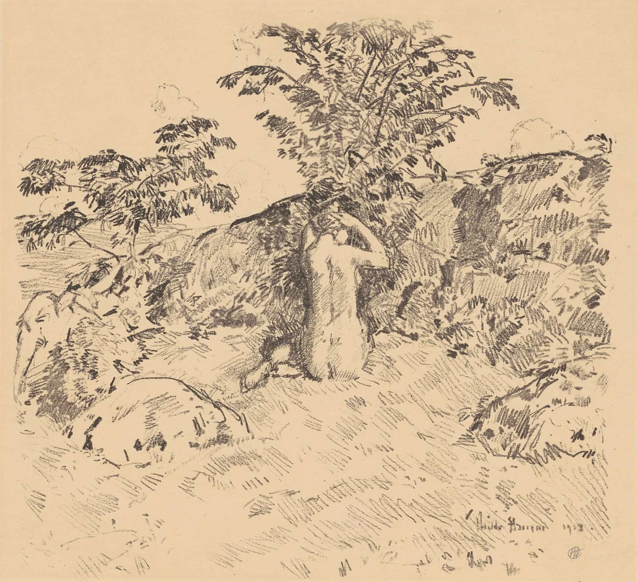 The Wild Cherry Tree, by Childe Hassam, ink, 1918