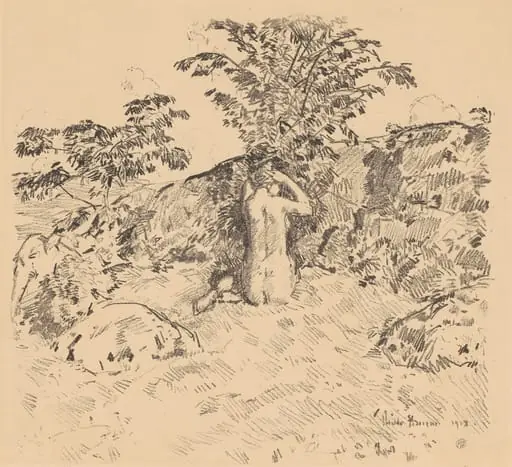 The Wild Cherry Tree