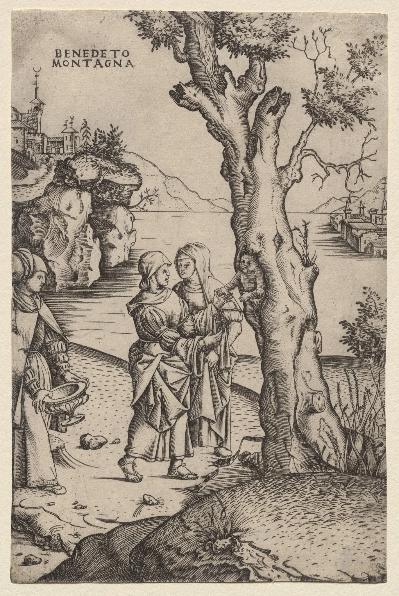 Birth of Adonis, by Benedetto Montagna, 1518